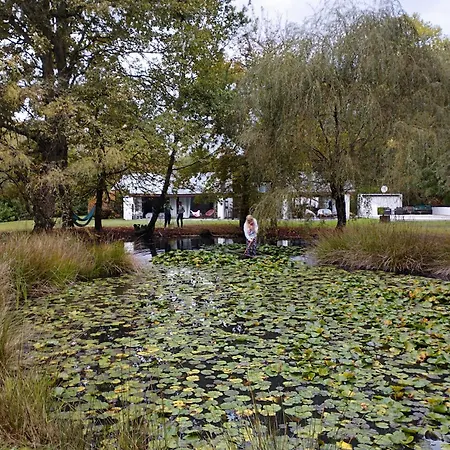 L'esprit Vintage فيلة